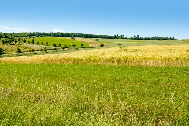 Foto zonnig landelijk landschap