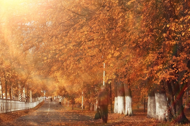 Zonnig landschap in herfstpark, herfstseizoen achtergrond oranje park