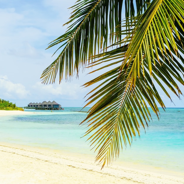 Zonnig strand met uitzicht op de bungalow