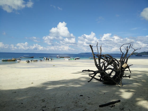 Foto zonnig strand