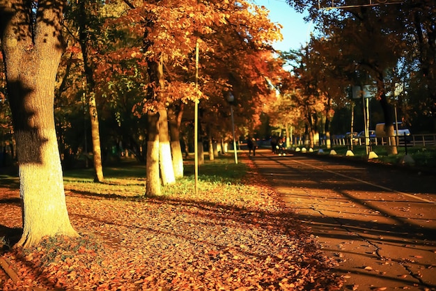 Zonnig weer in herfstpark