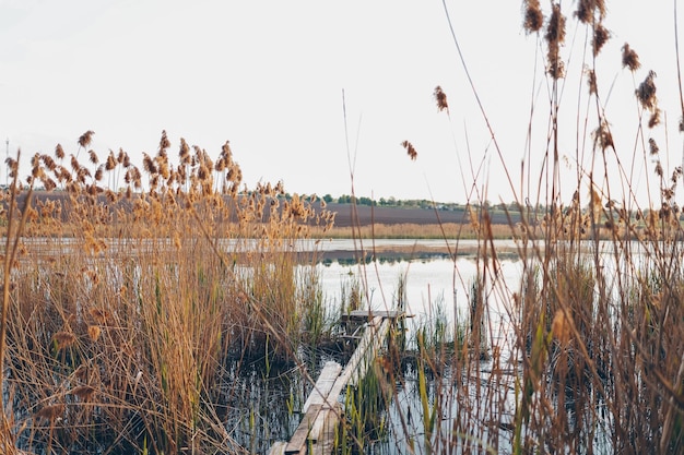 Zonnig zomerlandschap met riviervelden groene heuvels en prachtige wolken in de blauwe lucht