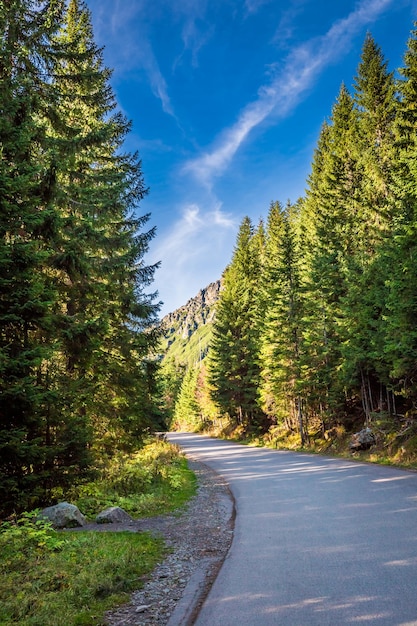 Zonnige bergenweg in Tatra in de herfst Polen