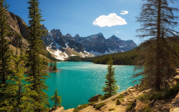 Zonnige dag bij Moraine Lake in Banff National Park Alberta Canada