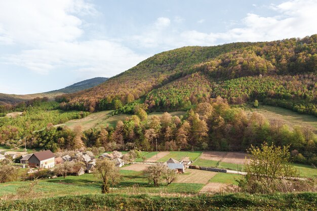 Zonnige dag in berglandschap