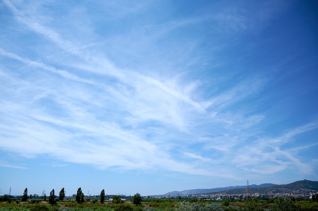 Zonnige dag met dunne wolken en velden aan de horizon