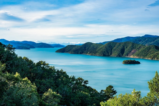 Zonnige dag met uitzicht op het Marlborough Sound-landschap