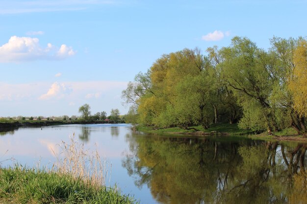 Zonnige dag op een kalme rivier in de zomer met bewolkte heldere blauwe lucht