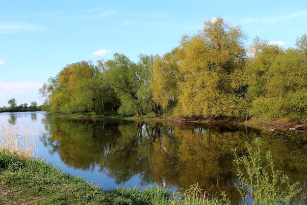 Zonnige dag op een kalme rivier in de zomer met bewolkte heldere blauwe lucht