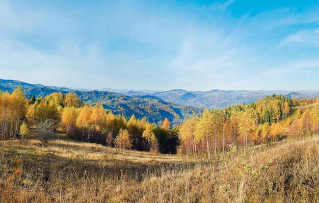 Zonnige herfst bergbos op berghelling