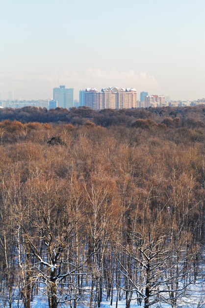 Zonnige koude ochtend over stadspark in de winter