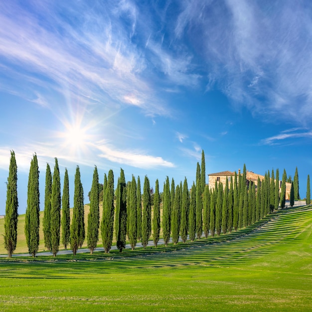 Zonnige landschapsachtergrond van Toscaanse plattelandsweg met cipressenbomen, groen gras en blauwe lucht met zon idyllisch schilderachtig behang Italië Europa
