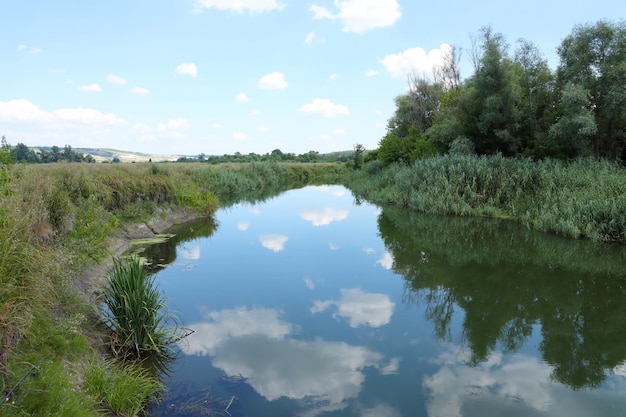 Zonnige lenteochtend op weide in de buurt van rivier