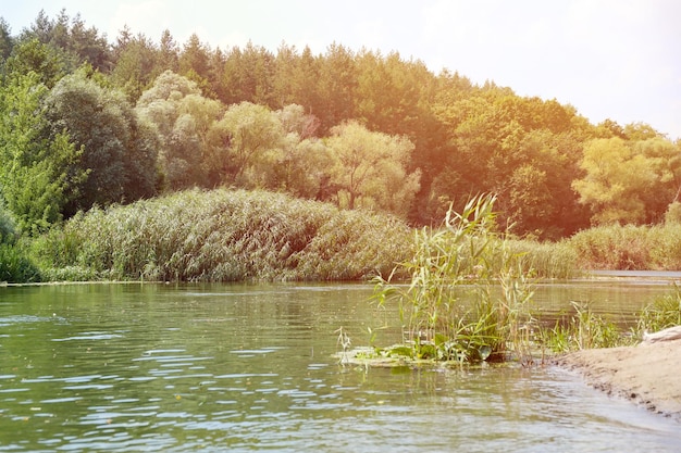 Zonnige lenteochtend op weide in de buurt van rivier