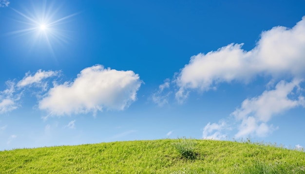 Zonnige natuurlijke zomerachtergrond met met gras begroeide ronde heuvel en heldere blauwe lucht