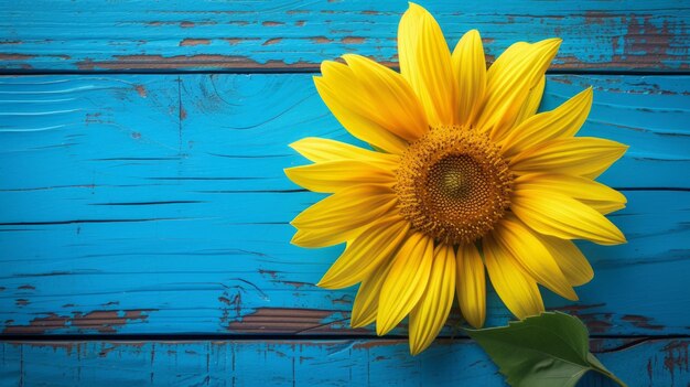 Zonnige Serenade Uitstekend zonnebloemboeket op een rustig blauw houten doek