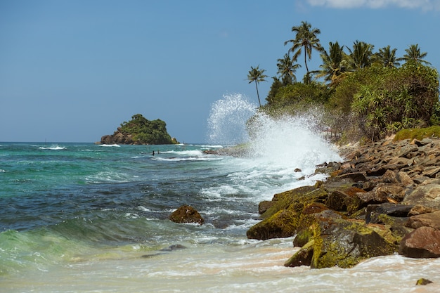 Zonnige tropische rotsachtige kust met golven