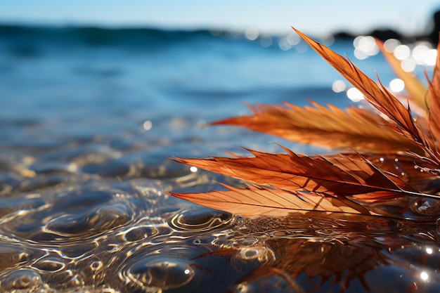 Zonnige vakantie ambiance zandstrand wazige palmbladeren glinsterende water bokeh