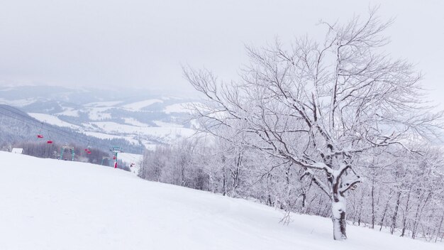 Zonnige winterdag Besneeuwde bergen Skiërs, snowboarders en toeristen kwamen voor het weekend voor toerisme Geluk