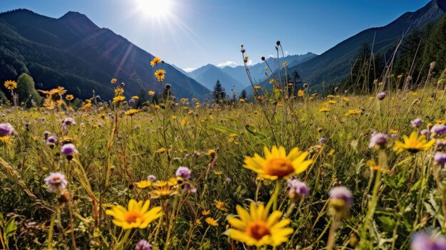 Foto zonnige zomerweide illustratie ai genativexa