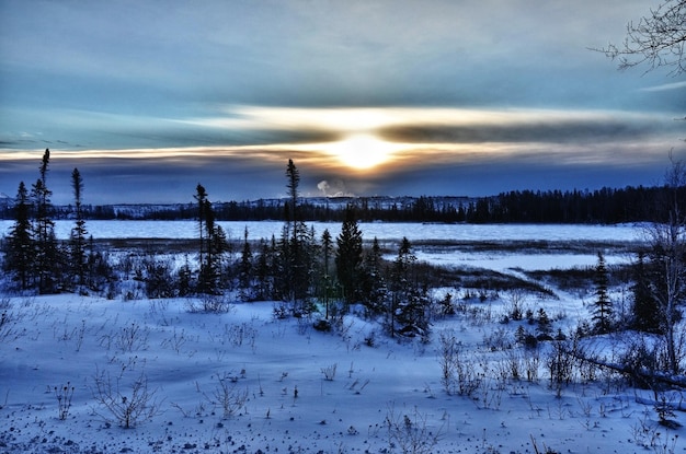 Zonnopgang Winter Noord-Canada landschap natuur sneeuw