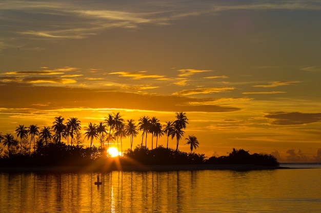 Zonsondergang aan de kust, donkere silhouetten van palmbomen en verbazingwekkende bewolkte hemel