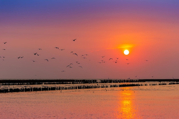 zonsondergang aan de kust