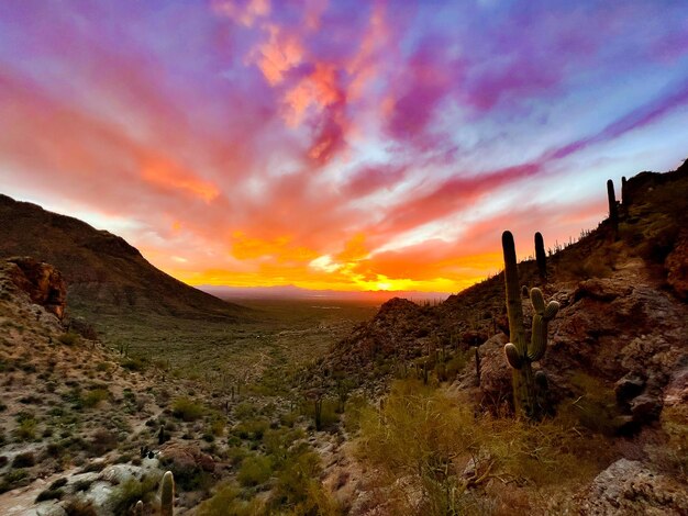 Zonsondergang bij Phoenix Az Mountain Pass