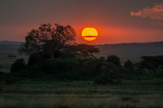 Zonsondergang bij Serengeti