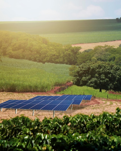 Zonsondergang boven zonne-energie Boerderijplant