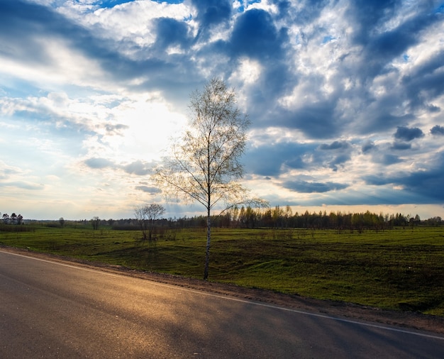 Zonsondergang en onweerswolken boven een lenteveld, een eenzame boom en een weg