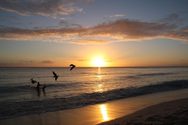 Foto zonsondergang in de dominicaanse republiek