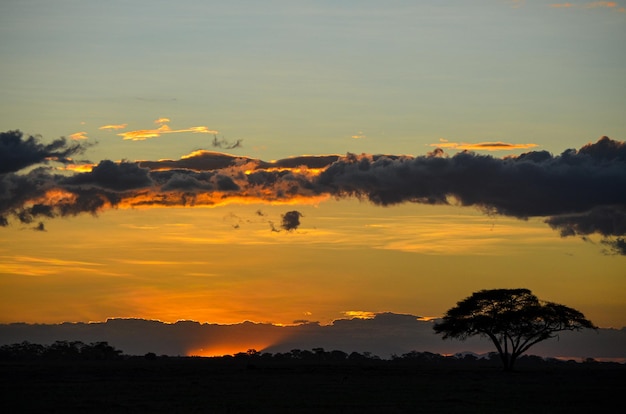 Zonsondergang in de savanne, Amboseli, Kenia, Afrika