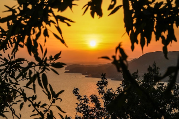 Foto zonsondergang in de schaduw van bladeren