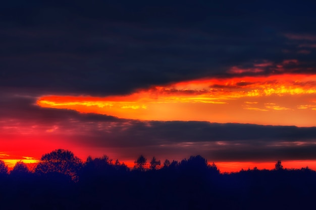 Zonsondergang in het bos