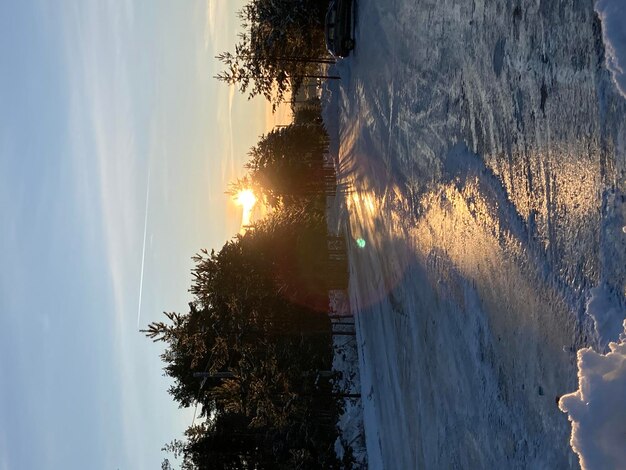 Zonsondergang in het winterbos