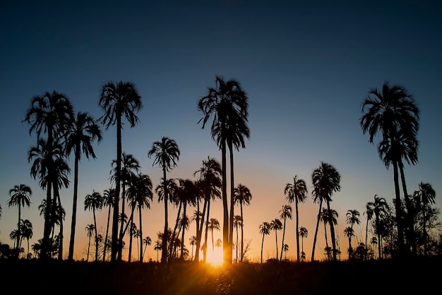 Zonsondergang in Palmar Nationaal Park Argentinië