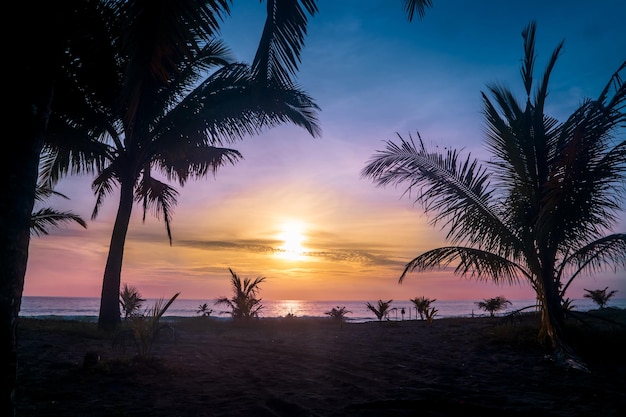 Zonsondergang in tropisch strand met palmen in indonesië