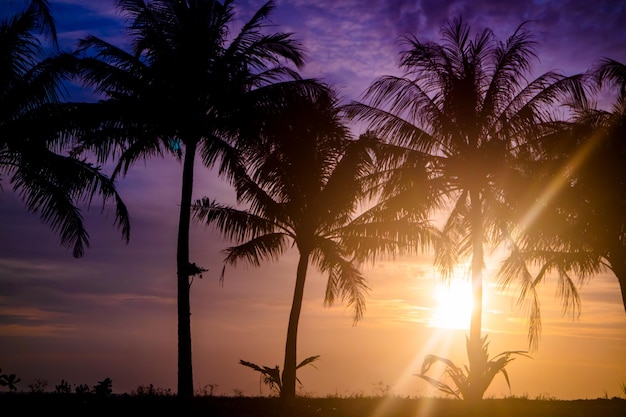 Zonsondergang in tropisch strand met palmen