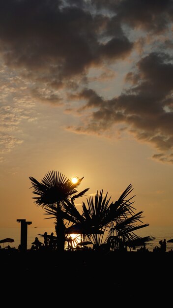 Zonsondergang landschap. strand zonsondergang. palmbomen silhouet op zonsondergang tropisch strand, summer