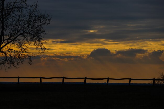 Foto zonsondergang met bladerloze takken en een houten hek