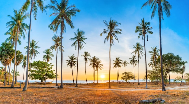 Zonsondergang met palmbomen op het strand