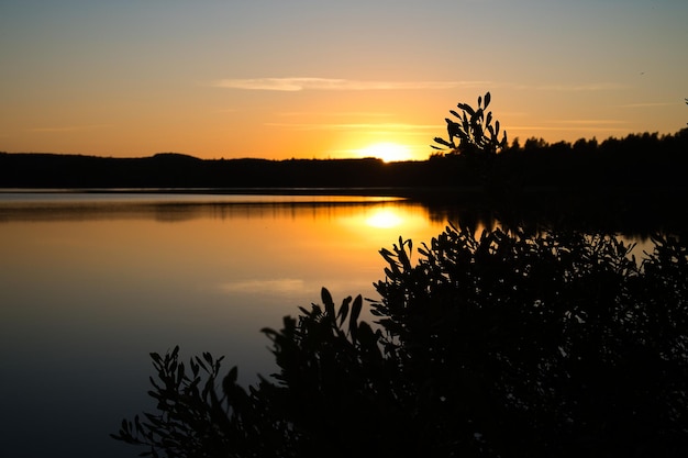 Zonsondergang met reflectie op een Zweeds meer in Smalland met struiken op de voorgrond