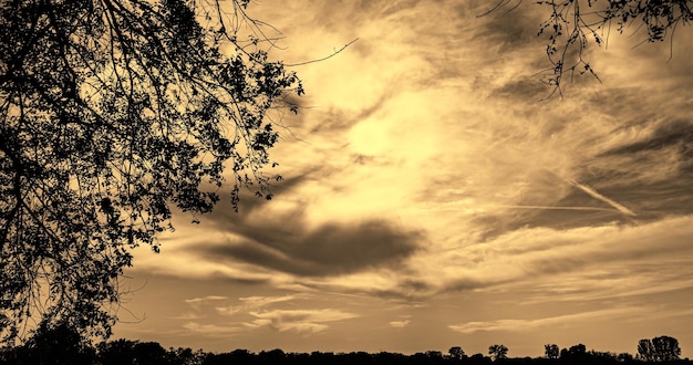 Zonsondergang met silhouetframe