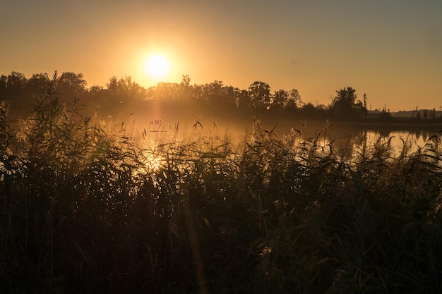 Zonsondergang op de reflectie van het meer