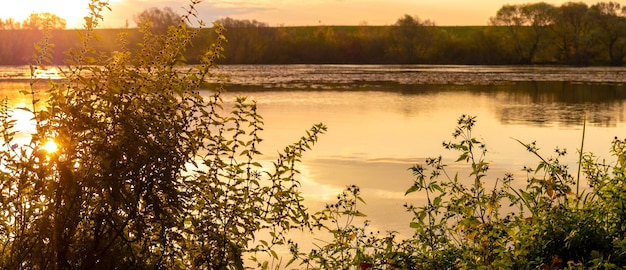 Zonsondergang op de rivier Struikgewas van planten bij de rivier de weerspiegeling van de lucht en de wolken in het rivierwater