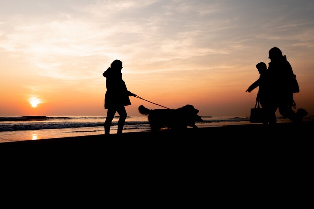 Zonsondergang op een prachtig strand wandelen met de honden op een heerlijke dag in Portugal