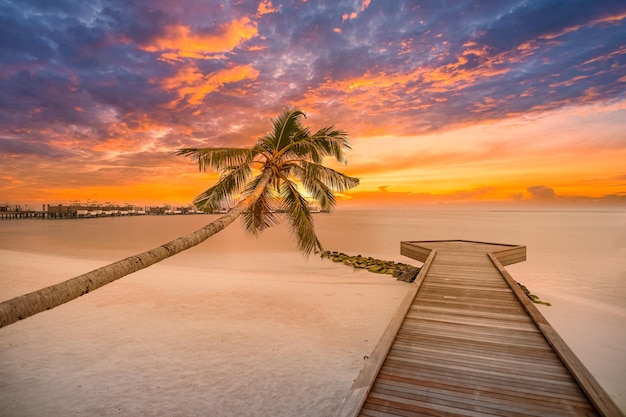 Zonsondergang op het eilandtoevlucht van de Maldiven. Houten pier met prachtige zeeluchtwolken boven tropische palmboom