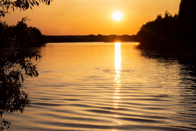 Zonsondergang op het meer tussen de bomen