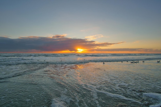 Zonsondergang op het strand in Denemarken Golven rollen over het zand Wandeling aan de kust